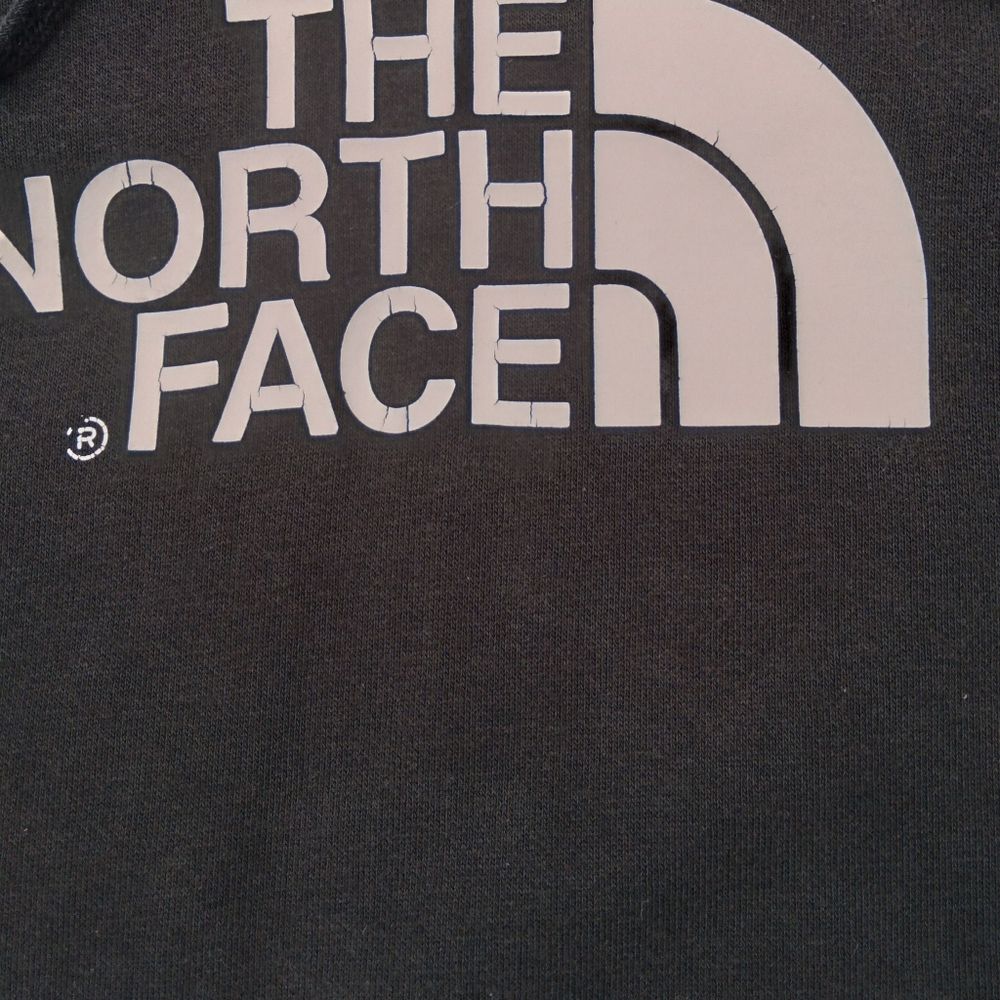 Slightly Disressed North Face Pullover Hoodie - image 2